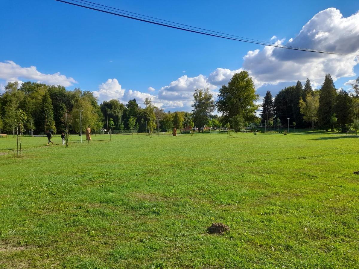 Appartement Harmonia Vendeghaz 100 Meterre Az Igali Gyogyfuerdotol Extérieur photo